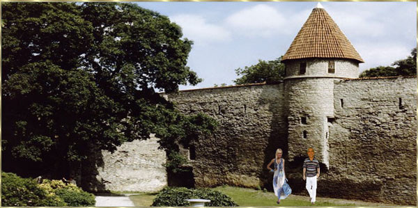 Burgmauer mit Turm
