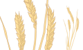 Demeters Attribut-der Weizen
